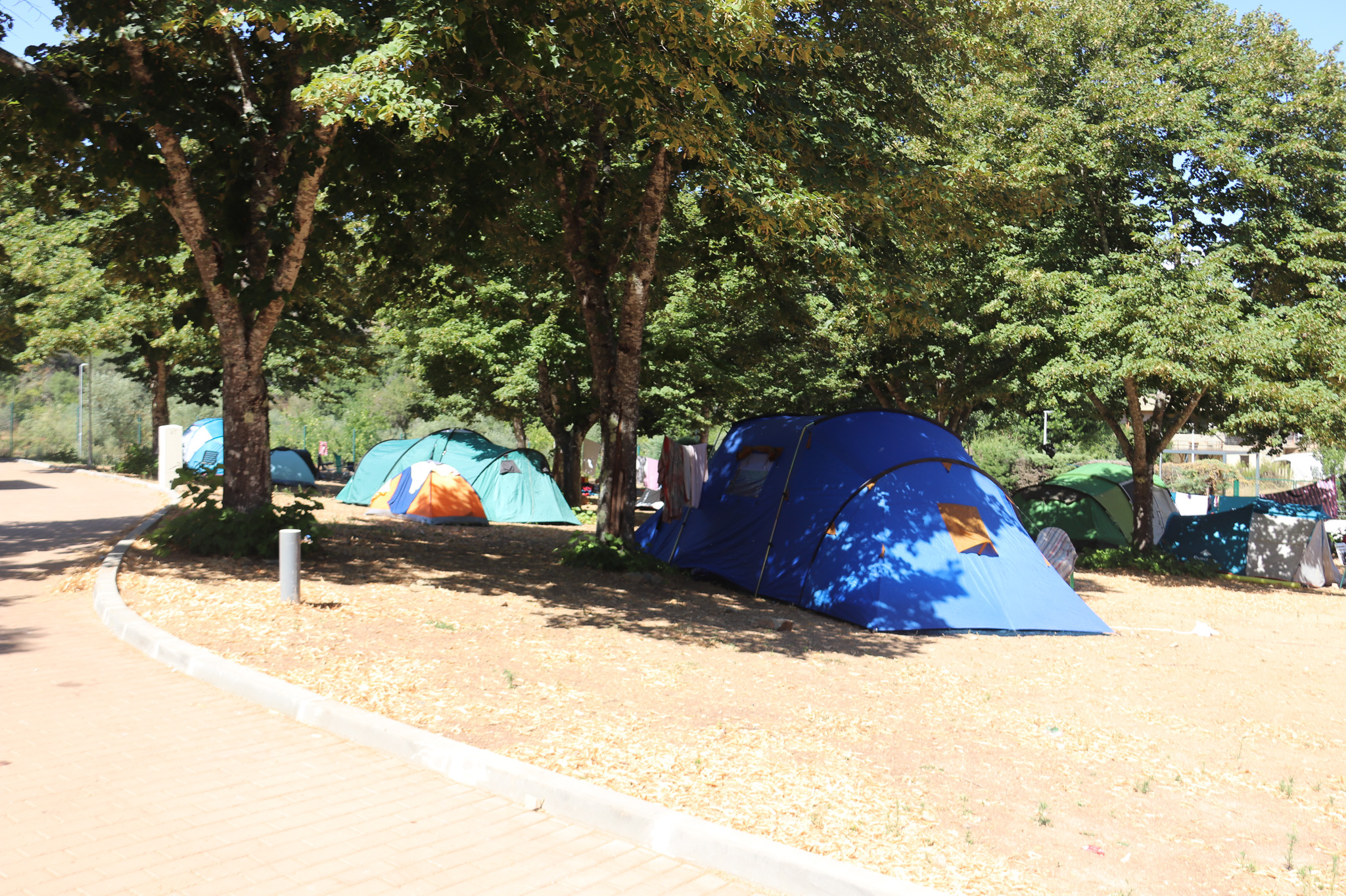 Campismo
